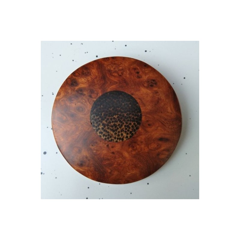 Broche en bois précieux, Palmier Patawa (G Larondelle)