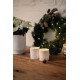 Porcelain tealight, Christmas berries (Räder) (Räder)