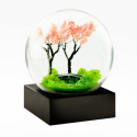Snowglobe, The spring (Cool Snow Globes)