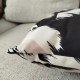 Housse de coussin en velours Tulipes (Oiseaux Muses)