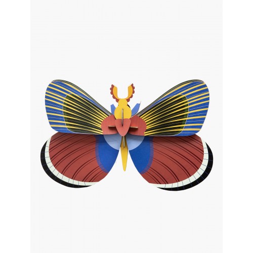 Déco murale, insecte Grand papillon (Studio ROOF)