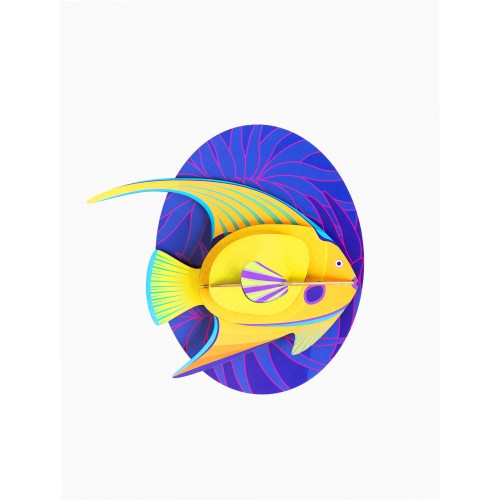 Le poisson ange jaune (Studio ROOF)