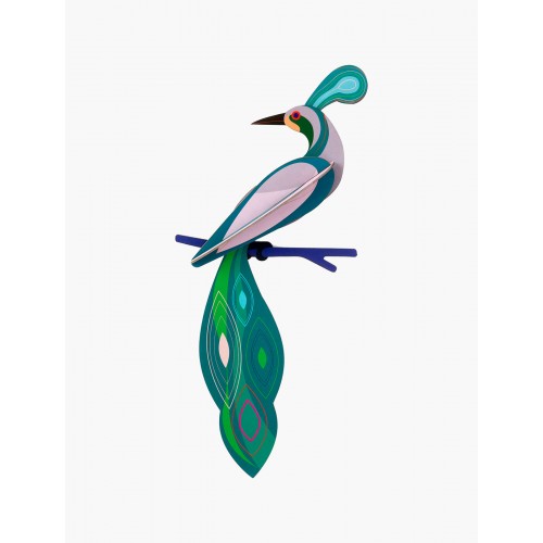 Oiseau de Paradis Fiji (Studio ROOF)