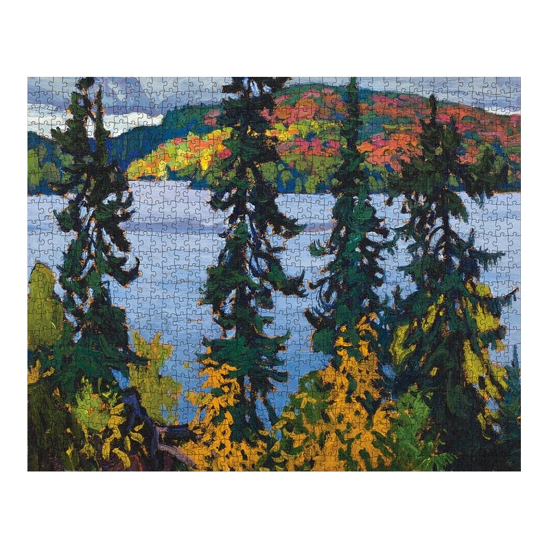 Puzzle 1000 p, La Rivière Montréal (Pomegranate)