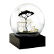 Boule à neige, Safari cristal (Cool Snow Globes)