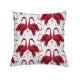 Cotton cushion Ibis (Atomic Soda)